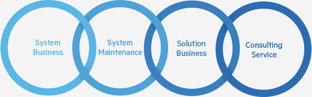 System Business , System Maintenance, Solution Business, Consulying Service